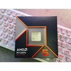 AMD Ryzen 9 9600X Foreign Boxed 6-Core 12-Thread High Performance Desktop CPU
