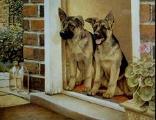 Home Guard German Shepherd, Ltd edition Print & Young Winston by Nigel Hemming