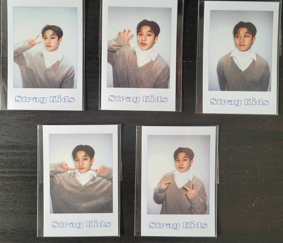 STRAY KIDS 2022 SEASONS GREETINGS POB POLAROID (select