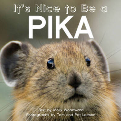 It's Nice to Be a Pika - Board book By Molly Woodward - GOOD