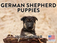 German Shepherd Puppy Calendar 2026 Monthly Wall Calender 12 Month | American Ma