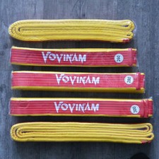 Ceinture rouge bordée de jaune Vovinam - Viet vo dao "Deluxe"