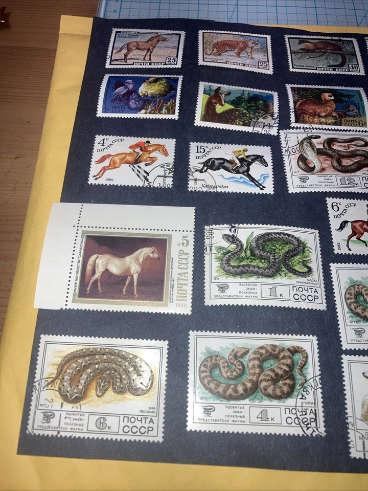 31 estampillas de colección de animales/serpientes de la URSS 1964-1988. Cancelado/HR. Envíos de $1. UN LOOK DE OFERTA Foto 3 de 4