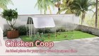 Video 1 von 1