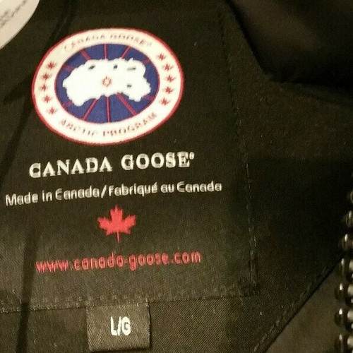 NEW LATEST GREY LABEL EDITION BLACK CANADA GOOSE CHILLIWACK LG LADIES JACKET - 第 11/12 張圖片