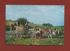 L'Alsace pittoresque - Vendanges ---- (i 6015)