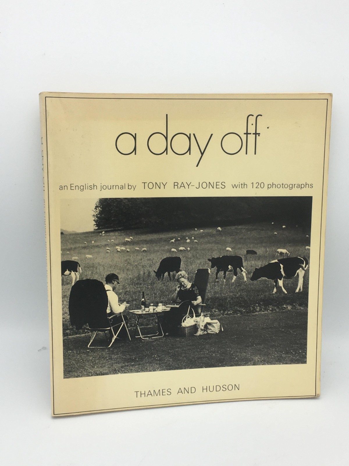 A Day Off: An English Journal Ray-Jones, Tony Ellis, Ainslie 9780500270349 Tham
