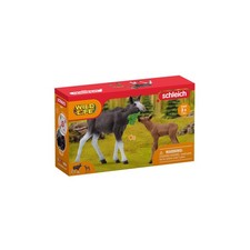SCHLEICH 42629 ELCHKUH MIT KALB Spielfigur Mehrfarbig