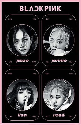 Black Pink - How You Like That Poster 11 X 17 Framed | eBay