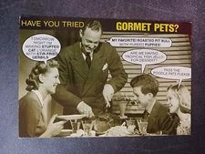 vtg postcard Gourmet Pets Humor Postmoderns kitsch retro photography art unpost