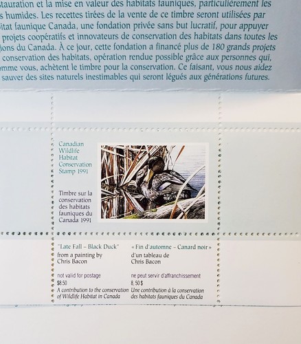Stamps Canada Mint: FWH7 Federal Wildlife Black Duck Bklt. of 1 VF MNH - Picture 2 of 2