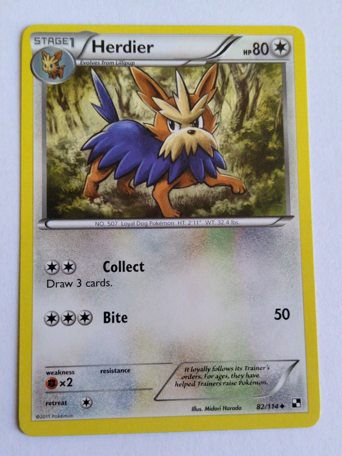 Herdier 82/114 Black & White Pokemon TCG Regular Uncommon