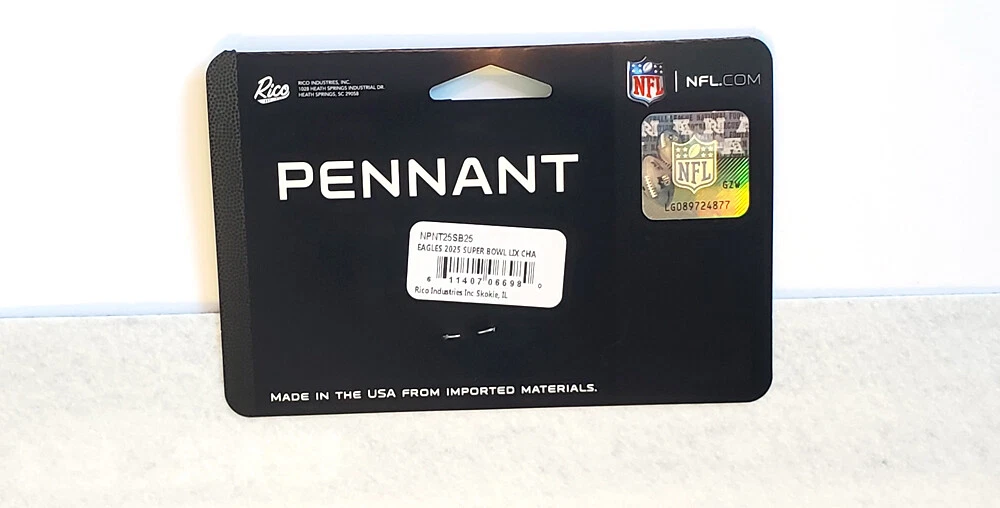 Philadelphia Eagles 2-Time Super Bowl Champions Triangle Pennant