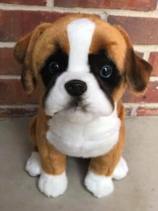 stuffed boxer puppy