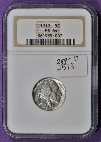 1919 Buffalo Nickel.  In NGC Holder.  MS 64.   j513