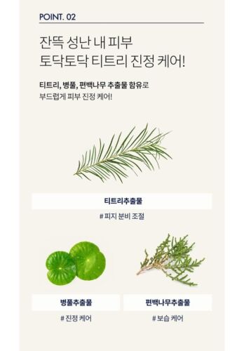 TONY MOLY Wonder Tea Tree Pore Refreshing Toner, 500ml (16.90oz) x 6ea K Beauty - Picture 12 of 19