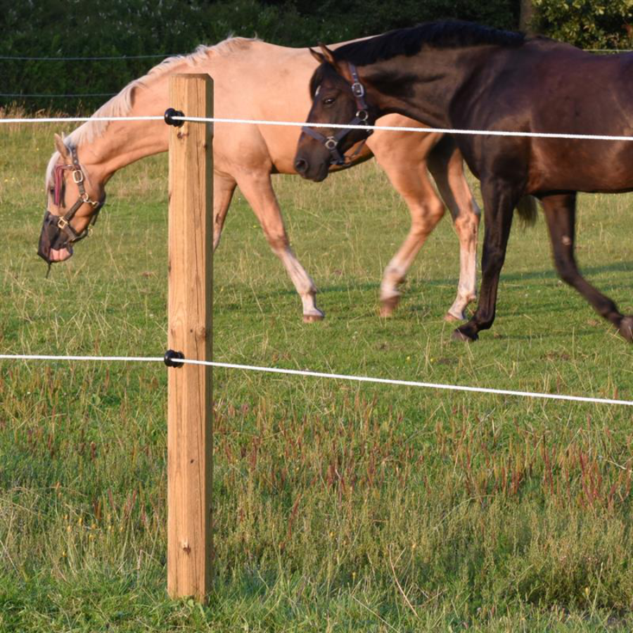 200m/500m Rotolo Elettrico Recinto Corda Rosso Bianco Polywire Con Corda In Acciaio Poli Per Cavallo Animale Recinzione Ultra Bassa Resistenza Filo - Foto 9