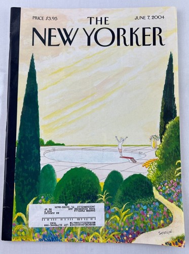 The New Yorker Magazine 2004 Full Issues - You Choose Your Issue - Picture 23 of 63
