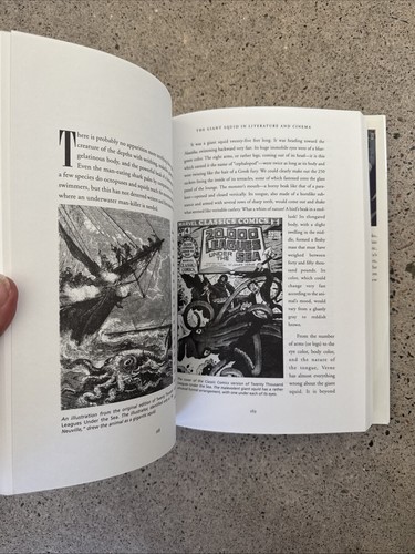 The Search for the Giant Squid Richard Ellis 1998 HC Ocean Science & Myth CLEAN - Picture 7 of 12