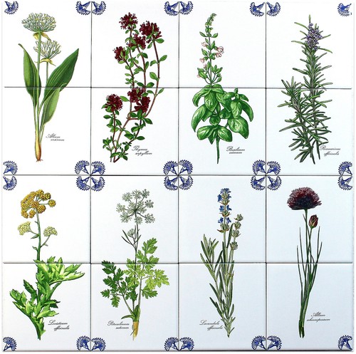 Azulejos por tipo: "Azulejos Delfter" azul/blanco en azulejos de 15x15 con motivo herbal - Imagen 1 de 9