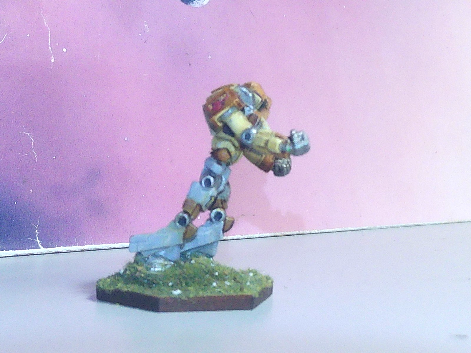 Picture 5 of 5