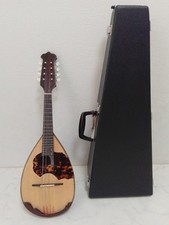 Mandolin Seiji Watanabe No.70 Anno1995 S.Watanabe Hard case included String