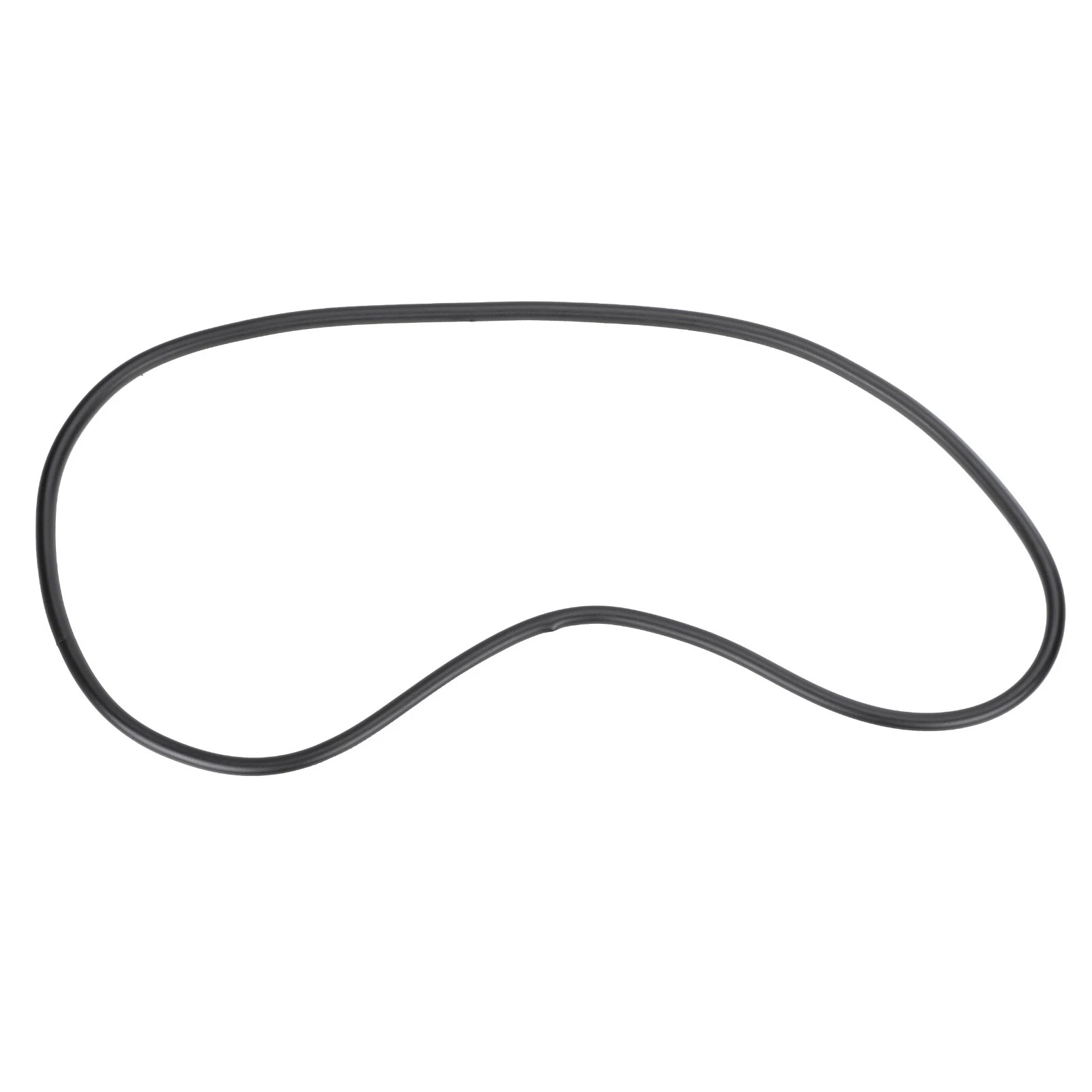 2015-2023 DODGE CHARGER SUNROOF TRIM LACE SEAL OEM NEW GENUINE MOPAR 1JY42DX9AA