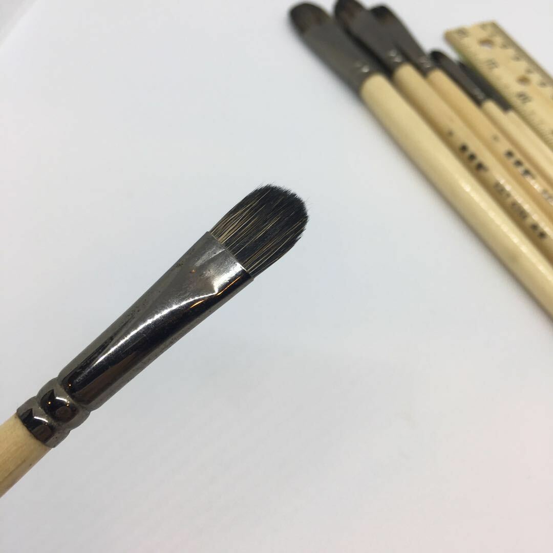 XDT Filbert Paint Brush 6 Piece Set - Hog Bristle For Oil Acrylic Watercolor Painting