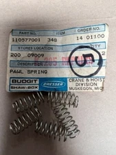 BUDGIT - PAWL SPRINGS #110577001