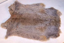 10 BULK LOT NATURAL GREY GENUINE RABBIT SKIN tan hide fur pelt craft skins bunny