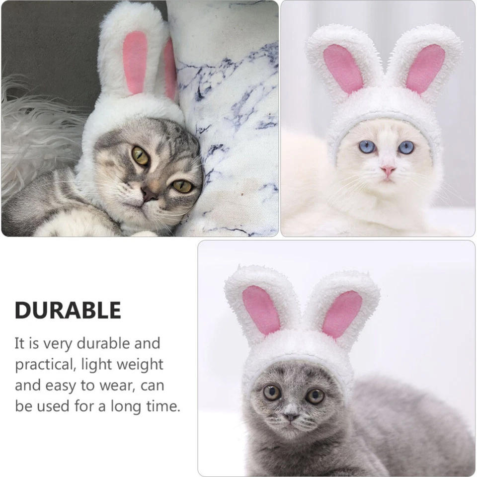 Precioso Soporte Oreja Mascota Gorra Conejo Oreja Mascota Sombrero para Perro Gato Cachorro Mascota Decorativo Foto 2 de 4