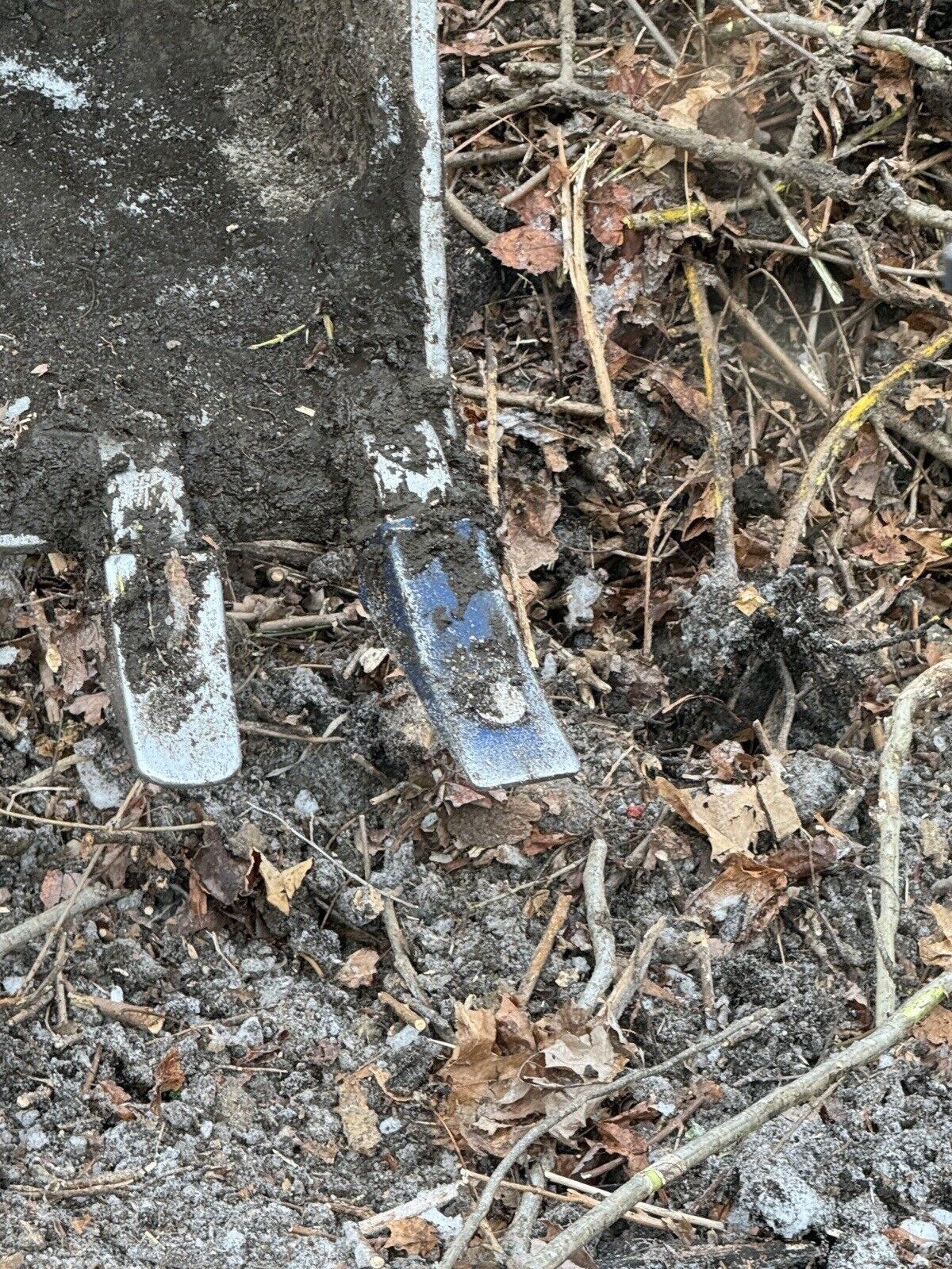 Picture 6 of 6