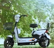 500 Watt Electric Scooter / Bike 48 Volt Battery 2Seats Remote Start and More.
