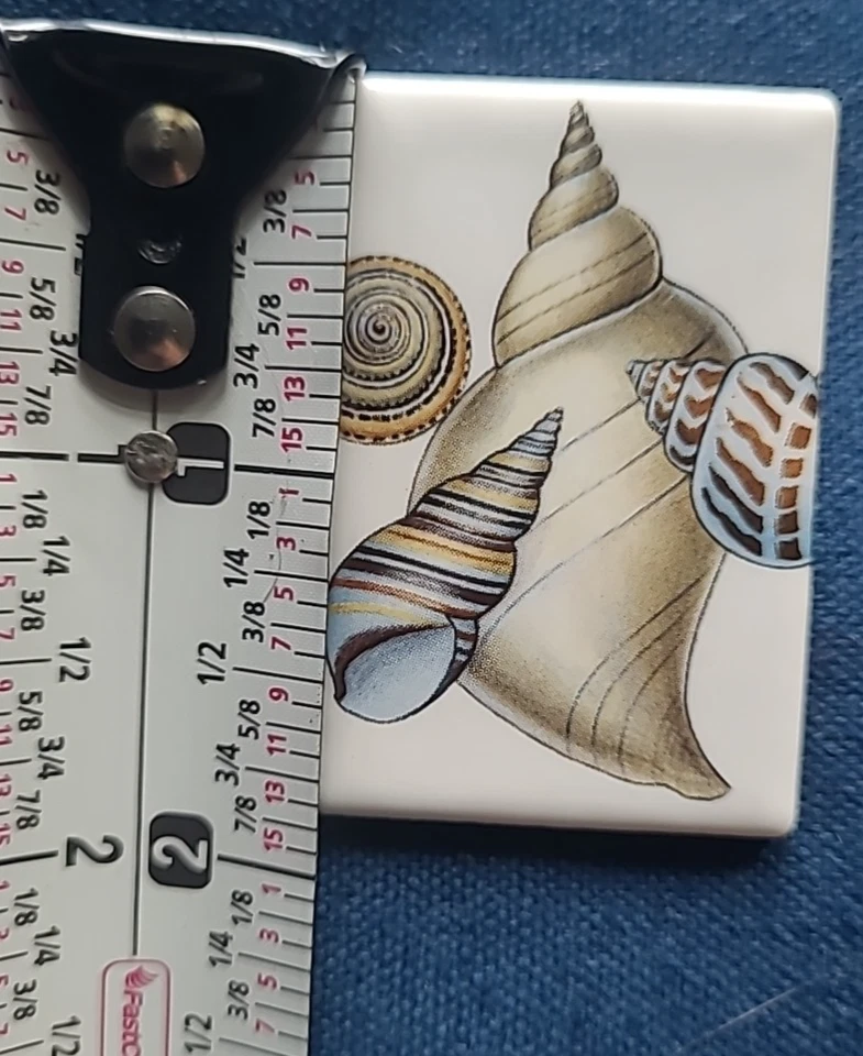 Pin de solapa Seashell 2,5 pulgadas playa vacaciones tropical coleccionable cerámica bonito Foto 3 de 3