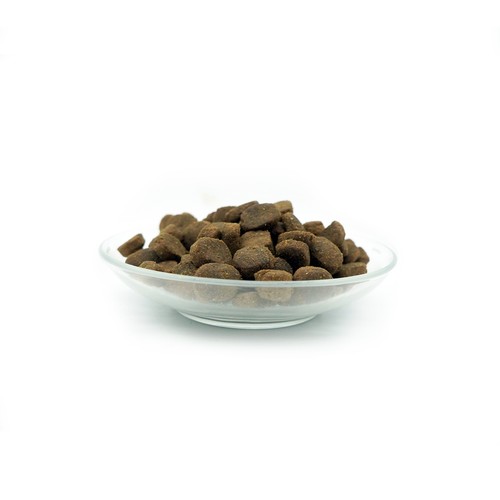 Hunde Trockenfutter Insekten 7,5kg Ergänzung Nierenkraft 250g Haut & Fell 250g - Bild 4 von 8