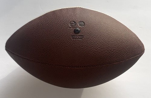 Tampa Bay Buccaneers Football autograph ball tan panel nfl new - Picture 12 of 12
