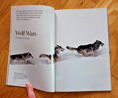 National Geographic marzo 2010; lobos; líneas Nasca; tribus; plantas carnívoras - Imagen 4 de 18
