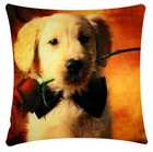 Labrador Dog Wearing Bow & Rose Animal Print Chenille Cotton Cushion Cover Sofa