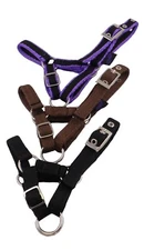 Libby's Banbury Halter Head Collar for Alpaca Llama Sheep xxxs xxs xs s m l