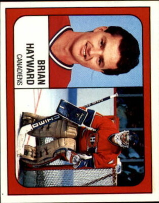 B3941- 1988-89 Panini Sticker HK Karte #251-408   Sie Wählen