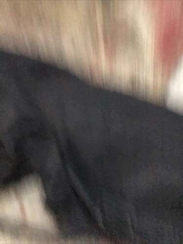 G. Loomis Tackle Seesack Aufbewahrungstasche 2 Taschen Angeln Übernachtungstasche EUC - Bild 4 von 7