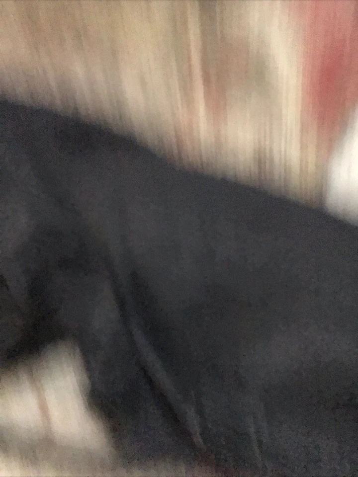 Bolsa de Lona G. Loomis Tackle Bolsa de Almacenamiento 2 Bolsillos Bolsa de Pesca para Pasar la Noche Usada en Excelente Condición Foto 4 de 4