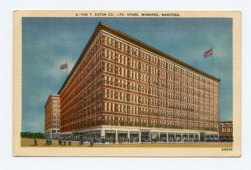 Magasin T. Eaton Co. Ltd., Winnipeg, Manitoba, Canada. Carte postale couleur lin - Photo 1/2