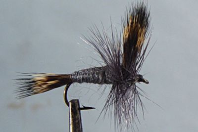 Lot De 4 Mouches Sèches Wulff Gris – Pêche à La Truite, Flottant Haut, Tailles Au Choix, Pour Rivières Et Lacs
