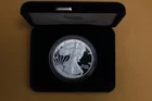 2019-S American Silver Eagle Proof One Ounce Coin with Case