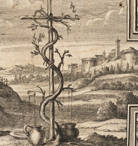 KÜSELL (*1626) nach STRAUCH (*1613), Emblem. Auf Kreuz folgt Wein und Trost, KSt - Picture 4 of 5