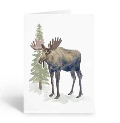 Elegant Moose with Pine Trees Note Cards - 10 Boxed Note Cards - B14744