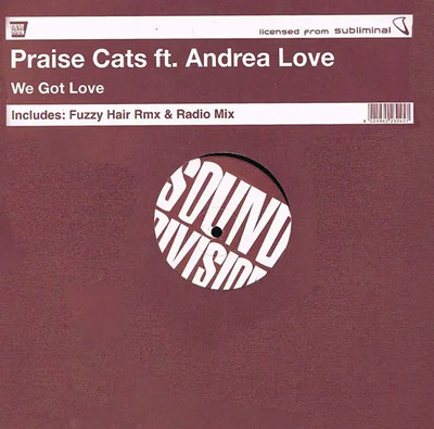 Praise Cats We Got Love Vinyl Single 12inch NEAR MINT Sound Division