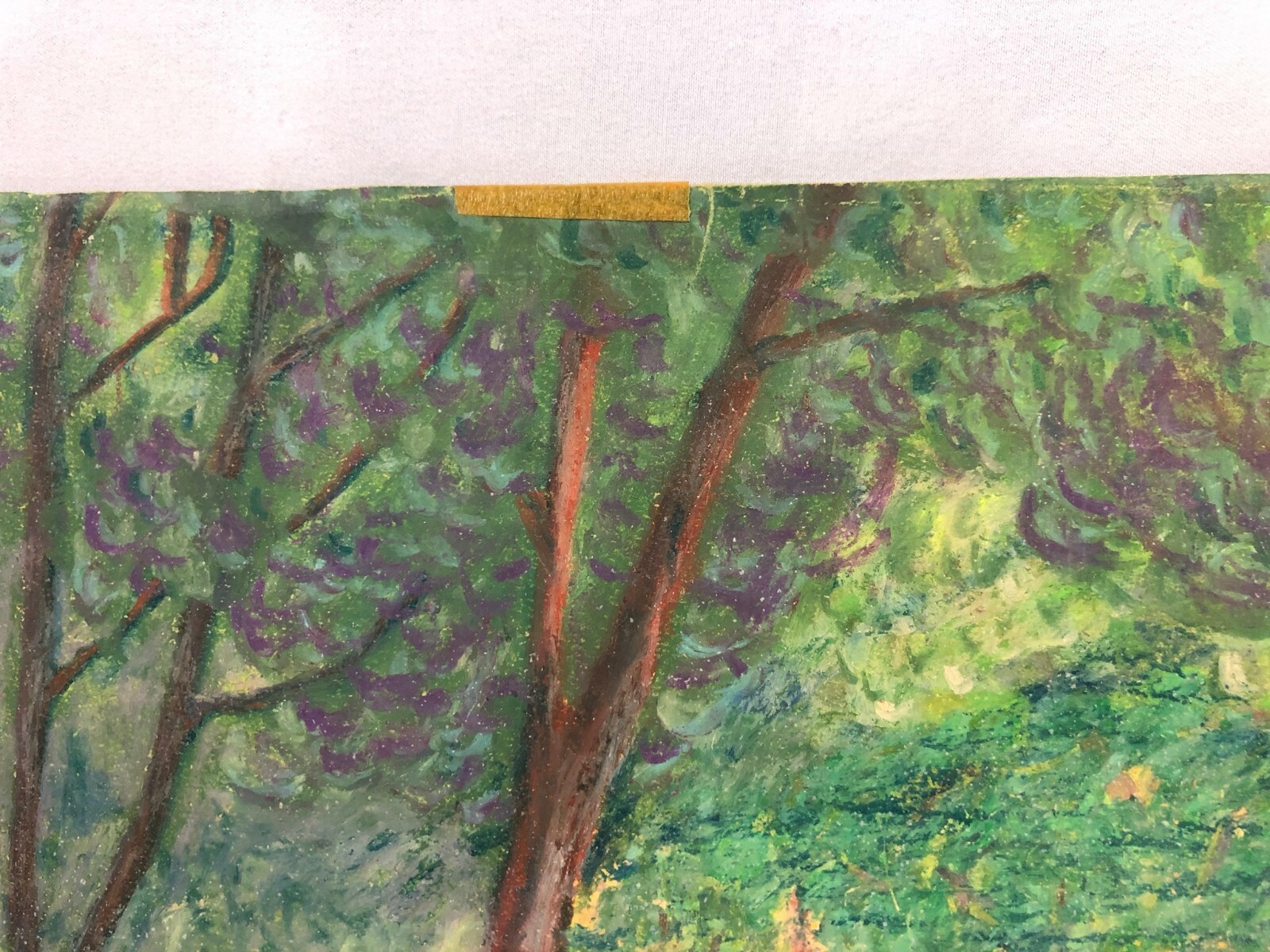 Picture 4 of 11