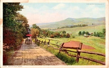 RPPC Carriage ride down a country road colored postcard a23